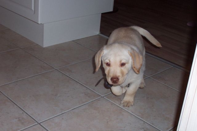 Helt utilfreds er jeg vist ikke med min nye familie :-)