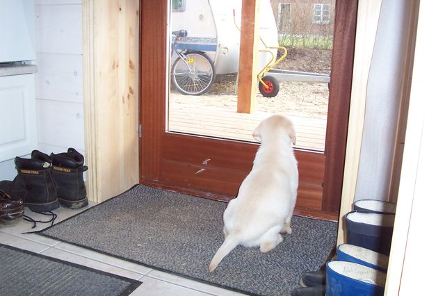 Vil jeg m�ske hjem, hvor jeg kom fra?