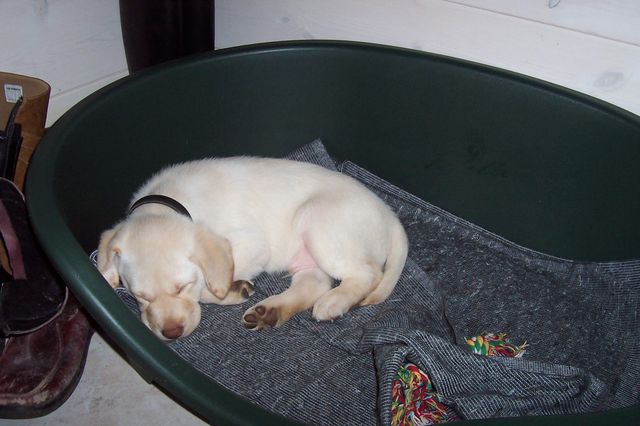 Selvom kurven er en smule for stor endnu!