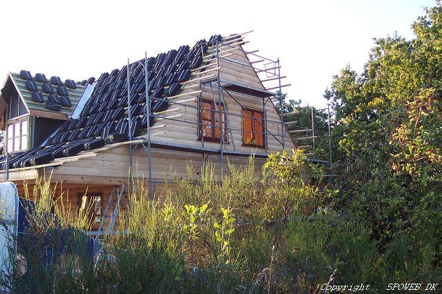 I en lidt anden vinkel, s� man rigtig fornemmer vores skov...